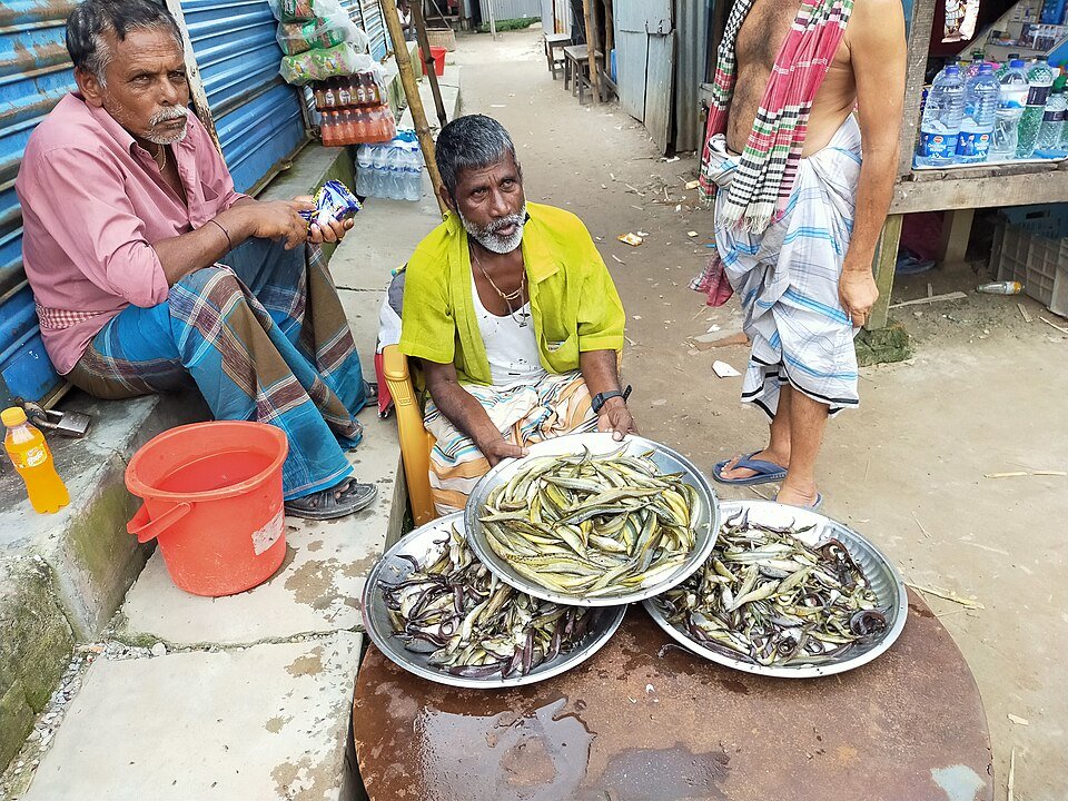 fresh-deshi-mach বাংলাদেশের নদীর জেলে